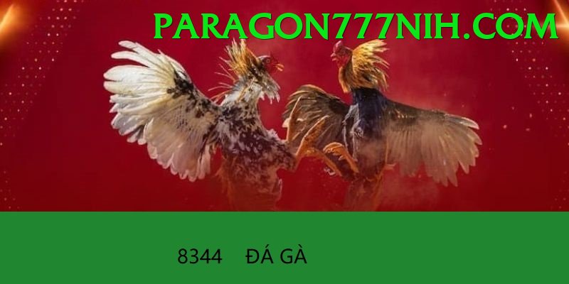 Đá Gà Trực Tiếp - Trải nghiệm tuyệt vời